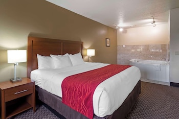 Presidential Suite, 1 King Bed with Sofa bed, Non Smoking
