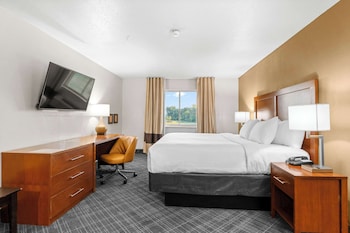 Room, 1 King Bed, Accessible, Non Smoking (Roll-In Shower)
