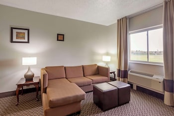 Presidential Suite, 1 King Bed with Sofa bed, Non Smoking