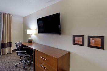 Room, 1 King Bed, Non Smoking