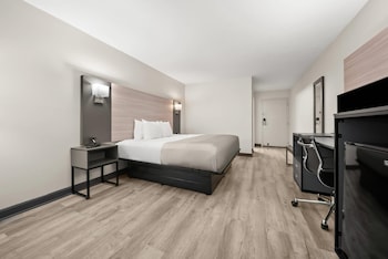 Standard Room, 1 King Bed, Non Smoking