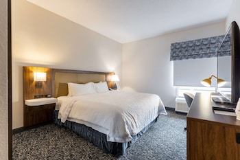 Room, 1 Queen Bed, Accessible (Roll-In Shower)