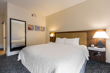 Room, 1 Queen Bed, Accessible (Roll-In Shower)