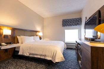 Suite, 1 King Bed