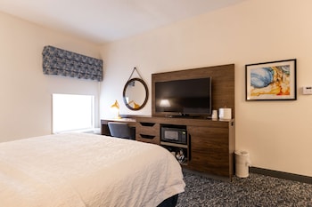 Room, 1 King Bed, Accessible (Roll-In Shower)