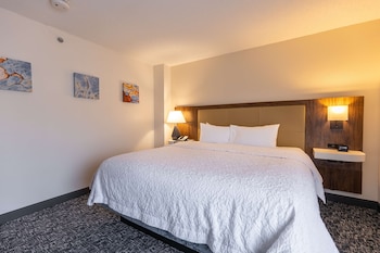Suite, 1 King Bed