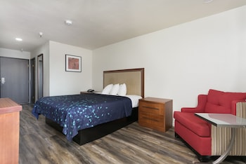 Single Room, 1 King Bed, Non Smoking, Jetted Tub