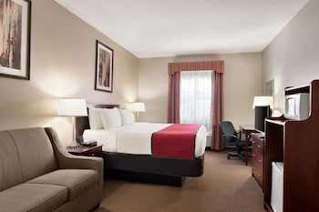 Room, 1 King Bed