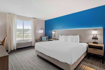 Standard Room, 1 King Bed, Non Smoking