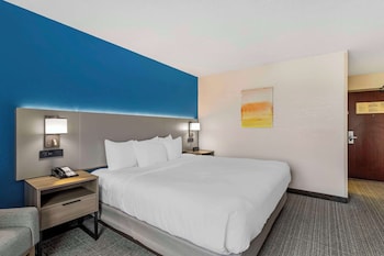 Standard Room, 1 King Bed, Non Smoking