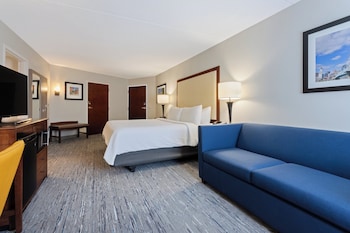 Suite, 1 King Bed, Accessible Bathtub (Mobility)
