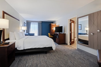 Standard Room, 1 King Bed, Roll-in Shower (Mobility)