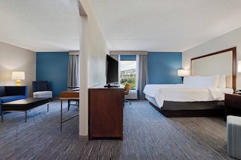 Suite, 1 King Bed (Additional Living Area)