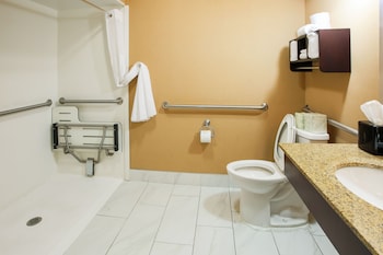 Room, 1 King Bed, Accessible