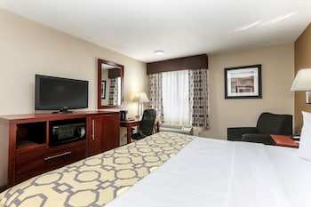 Room, 1 King Bed, Non Smoking