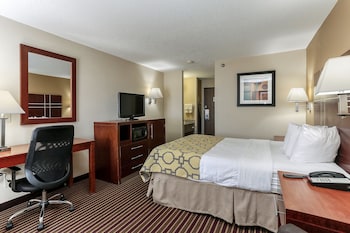 Room, 1 Queen Bed, Non Smoking