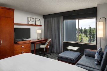 Room, 1 King Bed (Hearing Accessible)