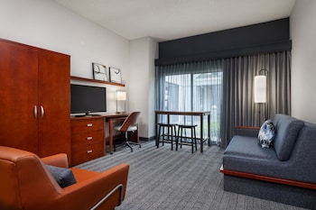 Suite, 1 King Bed with Sofa bed (Hearing Accessible)