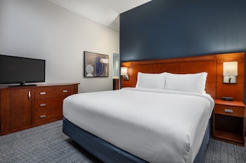 Suite, 1 King Bed with Sofa bed (Hearing Accessible)