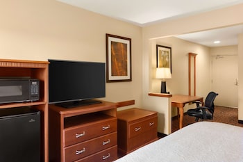 Room, 1 King Bed