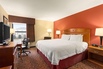 Room, 1 King Bed