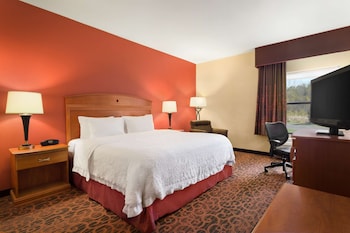 Room, 1 King Bed, Accessible, Non Smoking