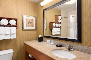 Room, 1 King Bed