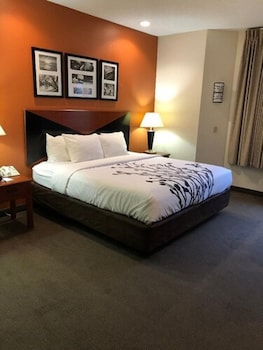 Room, 1 Queen Bed, Accessible, Non Smoking