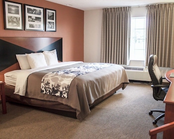 Standard Room, 1 King Bed, Non Smoking