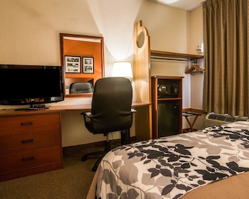 Room, 1 Queen Bed, Accessible, Non Smoking