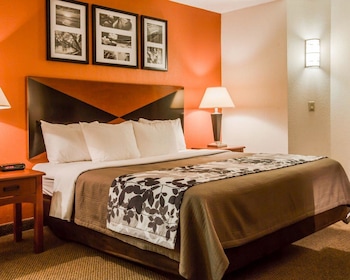 Standard Room, 1 King Bed, Non Smoking
