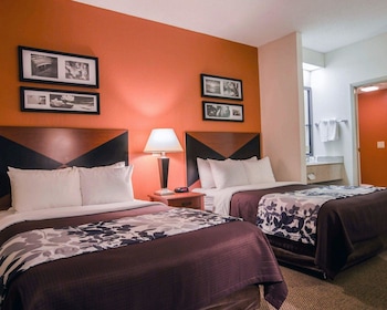 Standard Double Room, 2 Double Beds, Non Smoking