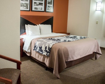 Room, 1 Queen Bed, Accessible, Non Smoking