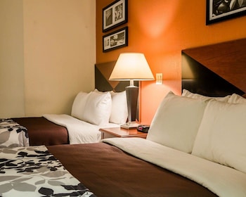 Standard Double Room, 2 Double Beds, Non Smoking