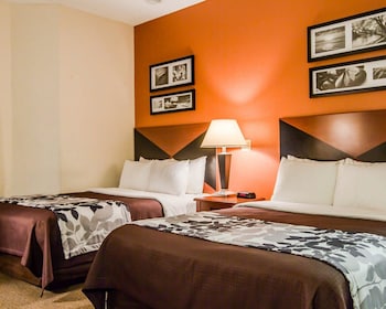 Standard Double Room, 2 Double Beds, Non Smoking