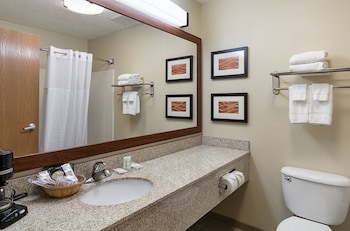 Suite, 1 King Bed with Sofa bed, Accessible, Non Smoking