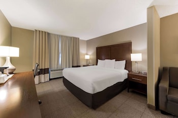 Suite, 1 King Bed with Sofa bed, Accessible, Non Smoking