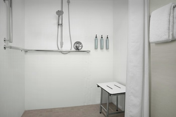 Room, 1 King Bed with Sofa bed (Mobility Accessible, Roll-In Shower)