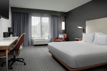 Room, 1 King Bed
