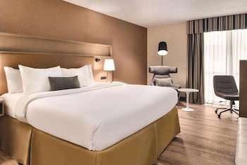 Room, 1 King Bed, Non Smoking