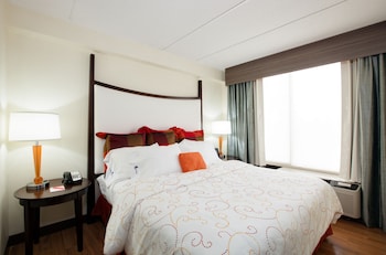 Standard Room, 1 King Bed with Sofa bed