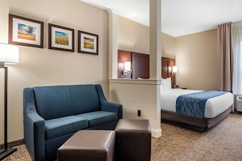 Suite, 1 King Bed with Sofa bed, Non Smoking