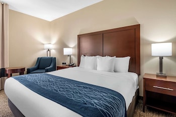 Room, 1 King Bed, Accessible, Non Smoking (Roll-In Shower)