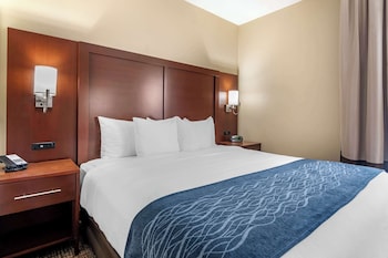 Suite, 1 King Bed with Sofa bed, Non Smoking