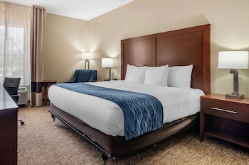 Standard Room, 1 King Bed, Non Smoking