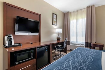 Room, 1 King Bed, Accessible, Non Smoking (Roll-In Shower)