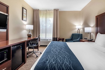 Room, 1 King Bed, Accessible, Non Smoking (Roll-In Shower)