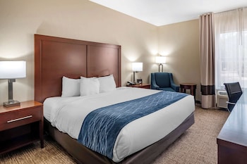Room, 1 King Bed, Accessible, Non Smoking