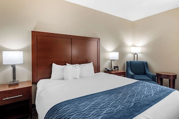 Room, 1 King Bed, Accessible, Non Smoking