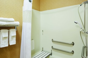 Room, 1 King Bed, Accessible, Non Smoking
